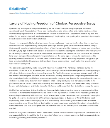 Luxury of Having Freedom of Choice: Persuasive Essay