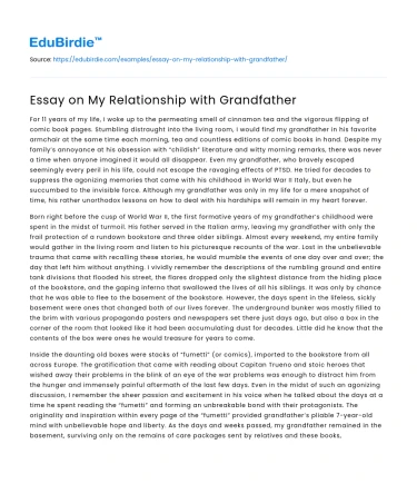 Essay on My Relationship with Grandfather