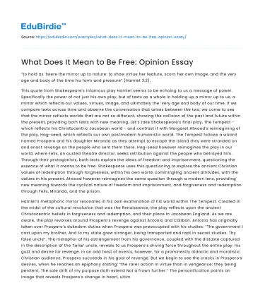 What Does It Mean to Be Free: Opinion Essay
