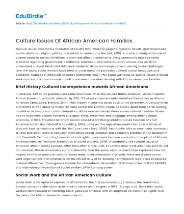 Culture Issues Of African American Families