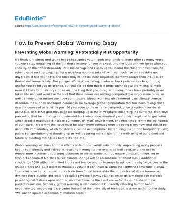 How to Prevent Global Warming Essay