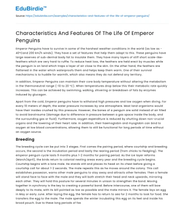 Characteristics And Features Of The Life Of Emperor Penguins