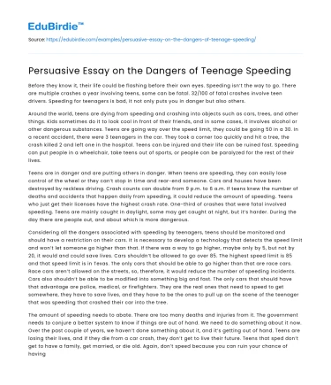 Persuasive Essay on the Dangers of Teenage Speeding