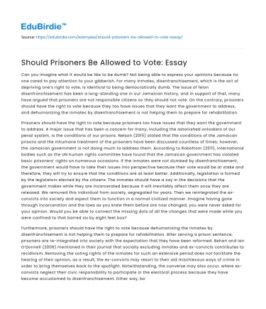 Should Prisoners Be Allowed to Vote: Essay