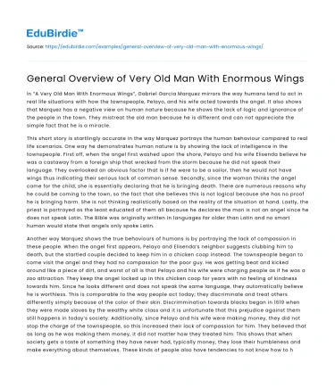 General Overview of Very Old Man With Enormous Wings