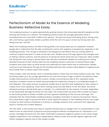 Perfectionism in Modeling Business: A Reflective Essay