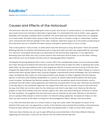 Causes and Effects of the Holocaust