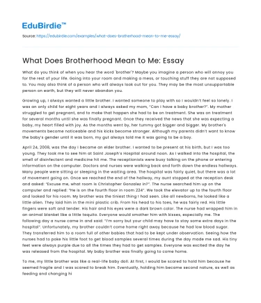 What Does Brotherhood Mean to Me: Essay