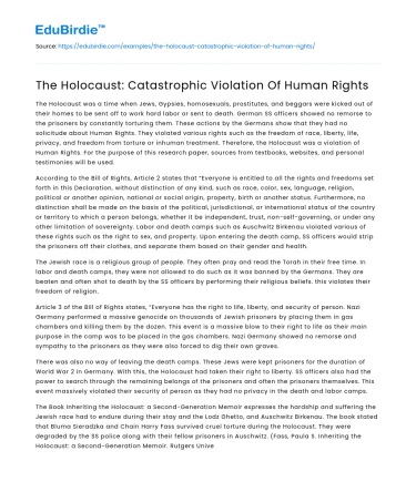 The Holocaust: Catastrophic Violation Of Human Rights