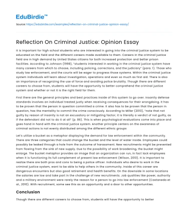 Reflection On Criminal Justice: Opinion Essay