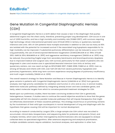 Gene Mutation In Congenital Diaphragmatic Hernias (CDH)