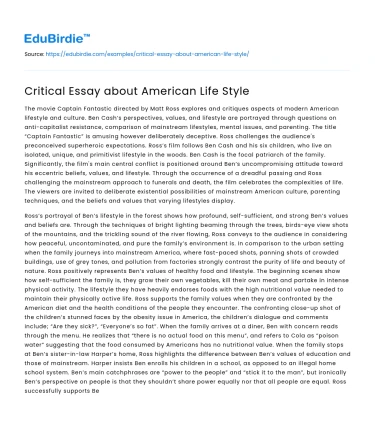 Critical Essay about American Life Style