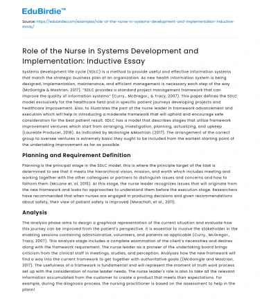 Nurse’s Role in Systems Development: Inductive Essay