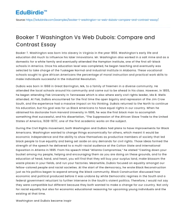 Booker T Washington Vs Web Dubois: Compare and Contrast Essay