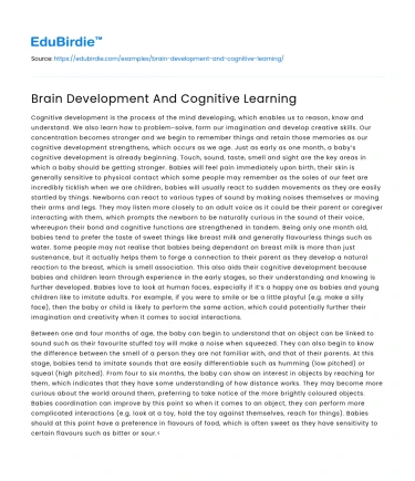 Brain Development And Cognitive Learning