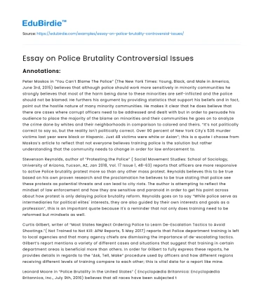 Essay on Police Brutality Controversial Issues