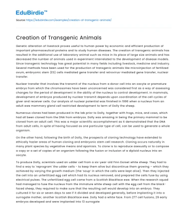 Creation of Transgenic Animals