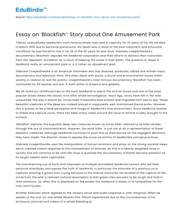 Essay on ‘Blackfish’: Story about One Amusement Park