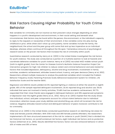 Risk Factors Causing Higher Probability for Youth Crime Behavior