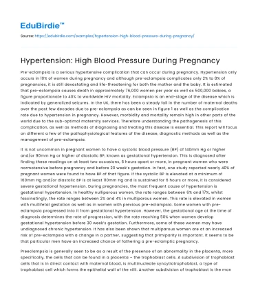 Hypertension: High Blood Pressure During Pregnancy