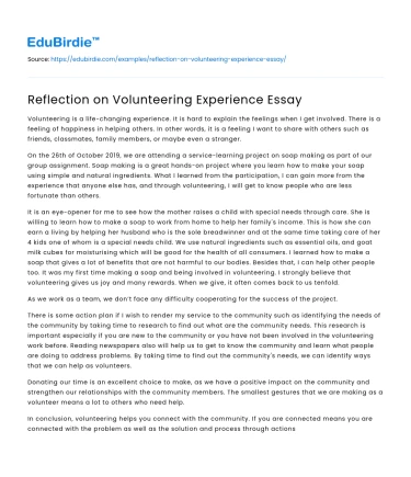 Reflection on Volunteering Experience Essay