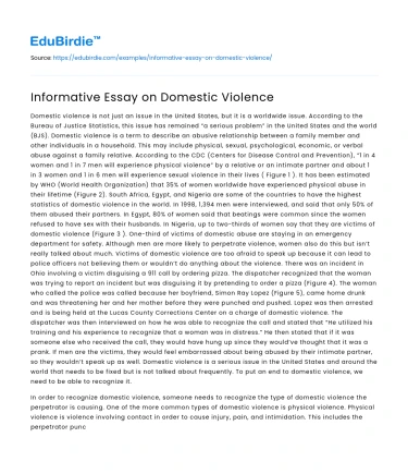 Informative Essay on Domestic Violence