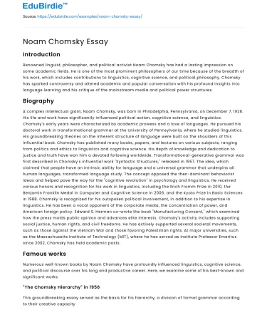Noam Chomsky Essay