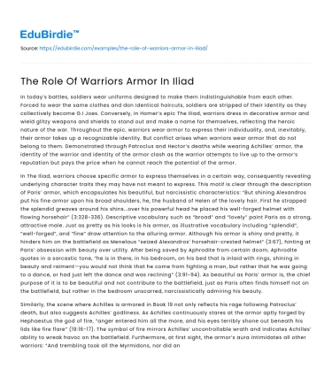 The Role Of Warriors Armor In Iliad