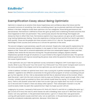 Exemplification Essay about Being Optimistic