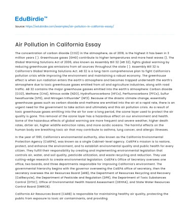 Air Pollution in California Essay