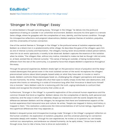 ‘Stranger in the Village’: Essay