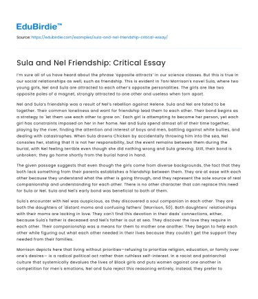 Sula and Nel Friendship: Critical Essay