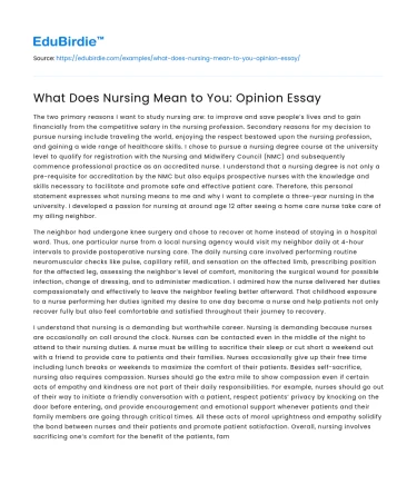What Does Nursing Mean to You: Opinion Essay