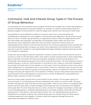 Command, Task And Interest Group Types In The Process Of Group Behaviour