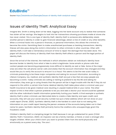 Issues of Identity Theft: Analytical Essay