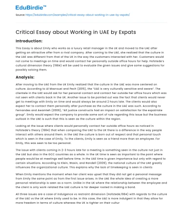 Critical Essay about Working in UAE by Expats