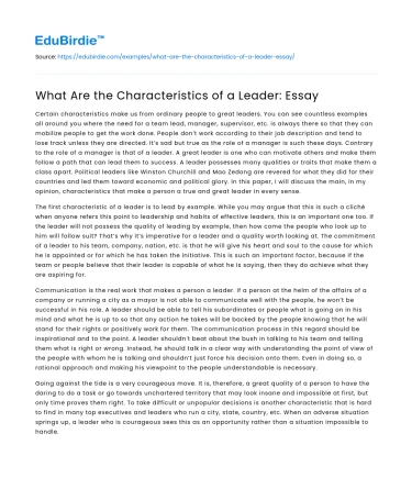 What Are the Characteristics of a Leader: Essay