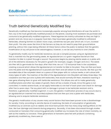 Truth behind Genetically Modified Soy