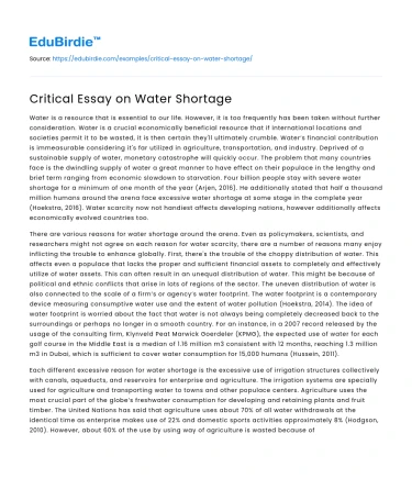 Critical Essay on Water Shortage