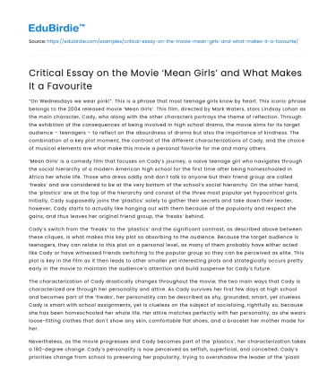 Critical Essay on the Movie ‘Mean Girls’ and What Makes It a Favourite