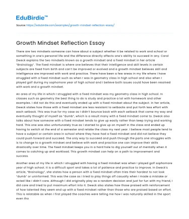 Growth Mindset Reflection Essay