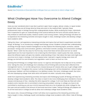 What Challenges Have You Overcome to Attend College: Essay