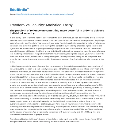 Freedom Vs Security: Analytical Essay
