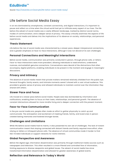 Life before Social Media Essay