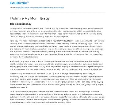 I Admire My Mom: Essay