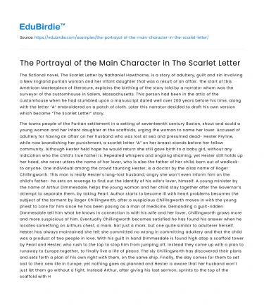 The Portrayal of the Main Character in The Scarlet Letter
