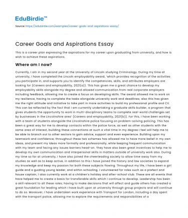 Career Goals and Aspirations Essay