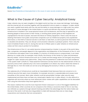 What Is the Cause of Cyber Security: Analytical Essay