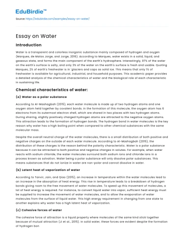 Essay on Water