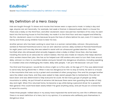 My Definition of a Hero: Essay